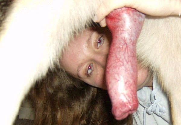 femme enculée cheval