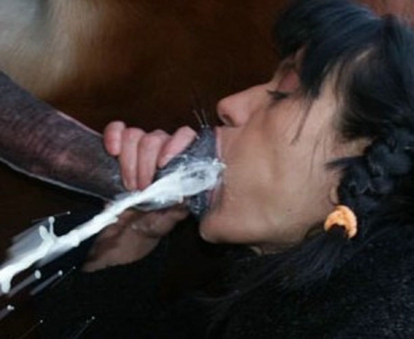 Horse cumming in woman