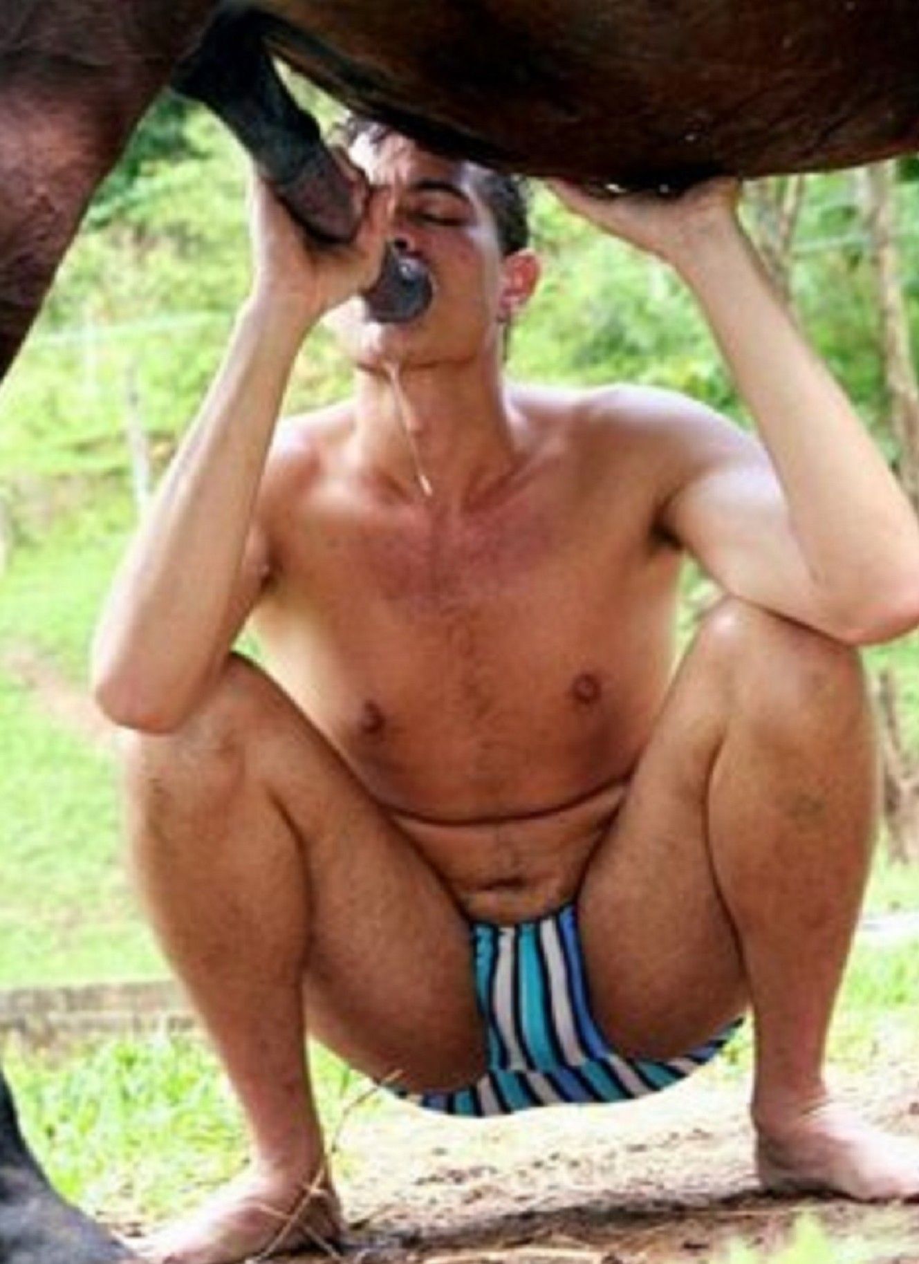 Animal gaysex - best adult videos and photos